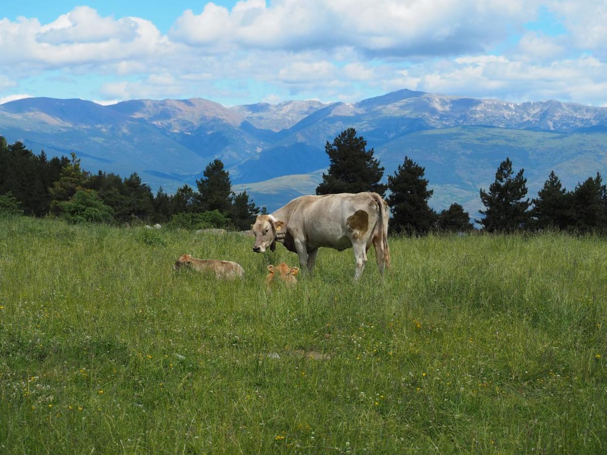 Apartament A La Molina, Grans Vistes, Llar De Foc ลา มอลินา ภายนอก รูปภาพ
